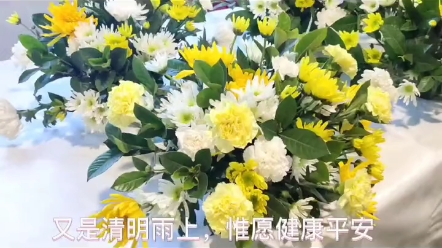 [图]清明时节，祭祀花黄白菊花礼