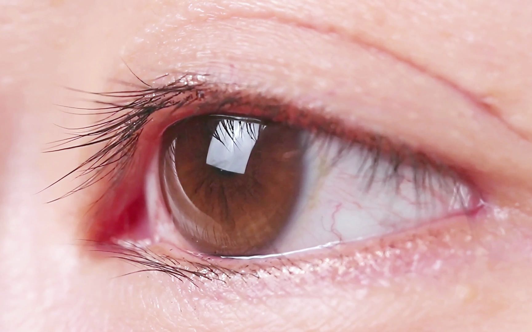 干净清澈的东方眼睛二