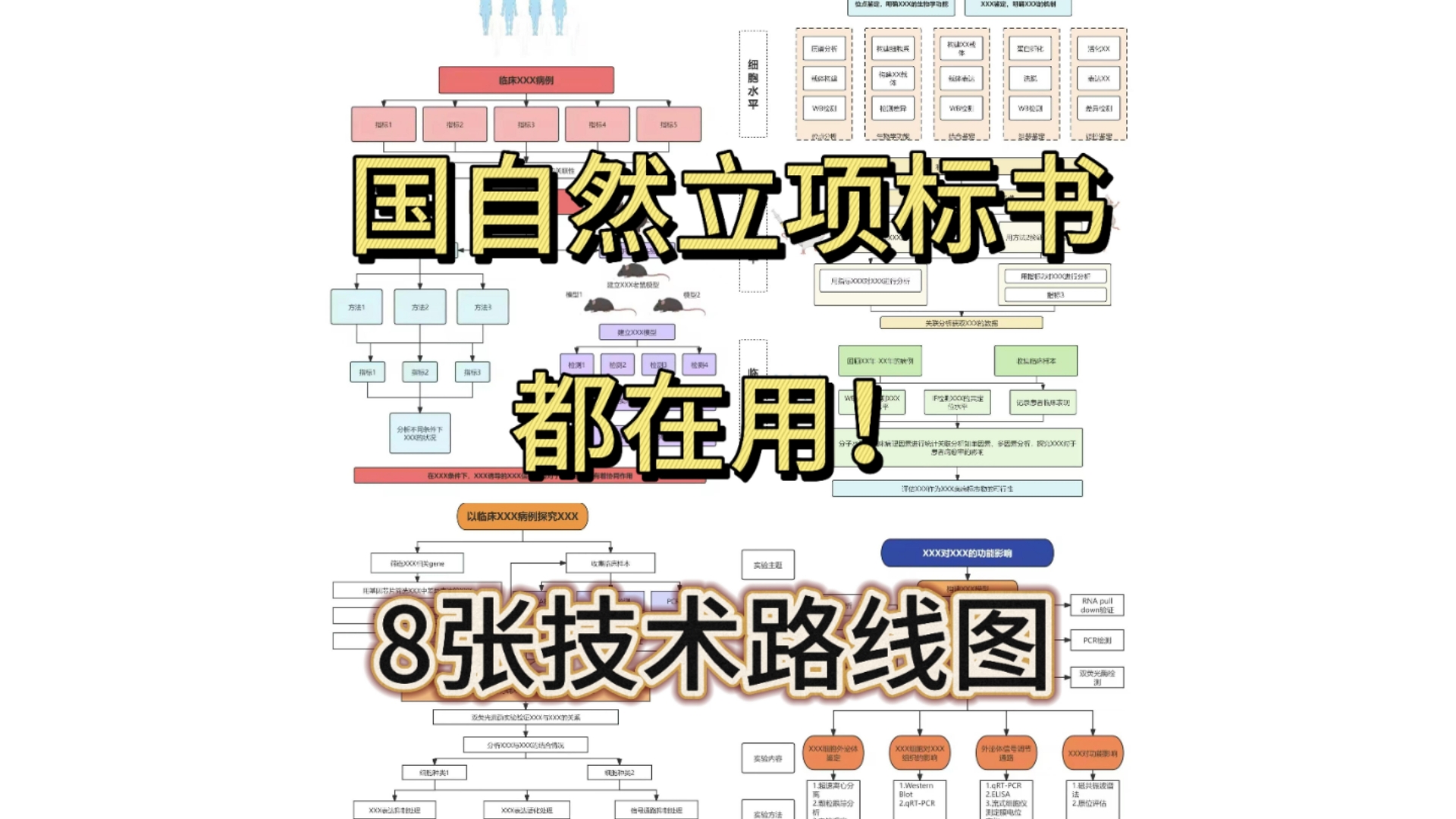 国自然立项标书都在用的技术路线图模板汇总,全部分享哔哩哔哩bilibili