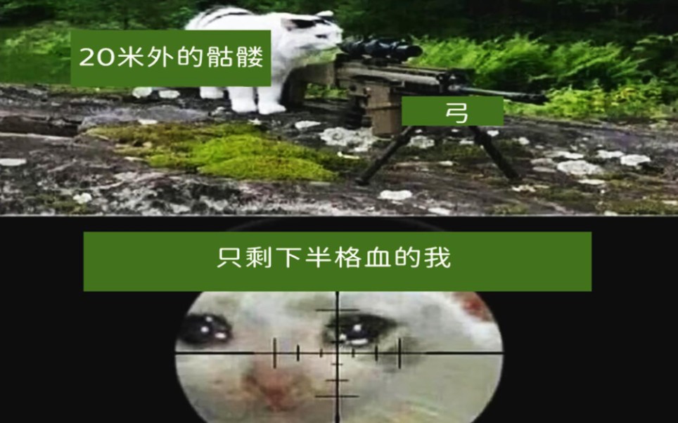 【Minecraft梗图】(第11期)我的世界