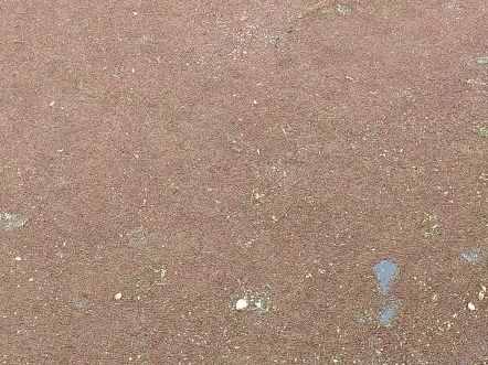 真的是河，它伪装成了橡胶跑道。我是原创作者，未经我的授权，禁止本平台任何媒体转载