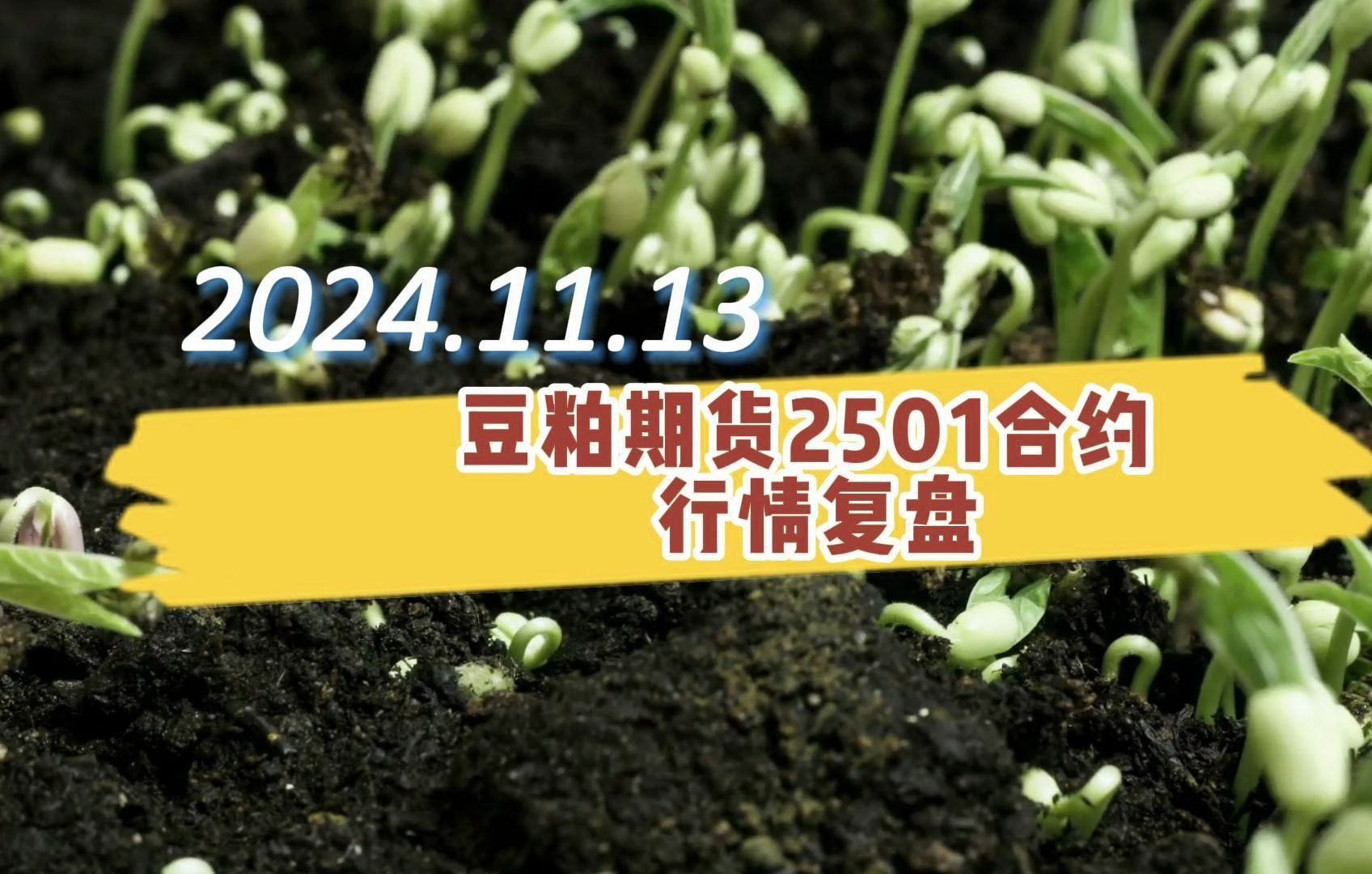 2024年11月13日 豆粕期货2501合约行情分析,后市走势如何?哔哩哔哩bilibili