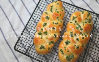 葱花面包 搜索结果 哔哩哔哩 Bilibili