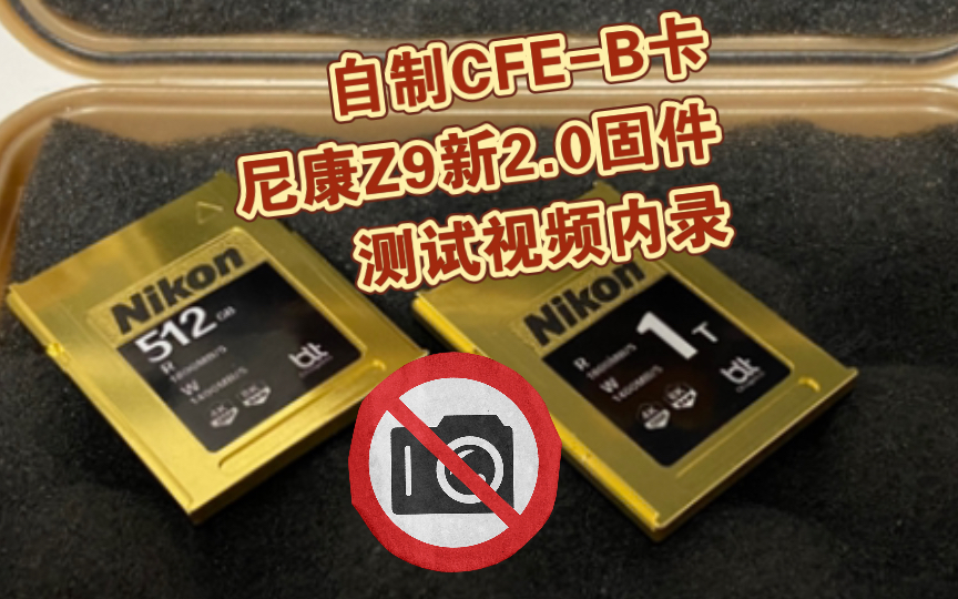 【趣味测试】自制CFEB卡能否在尼康Z9新2.0固件下存活?哔哩哔哩bilibili