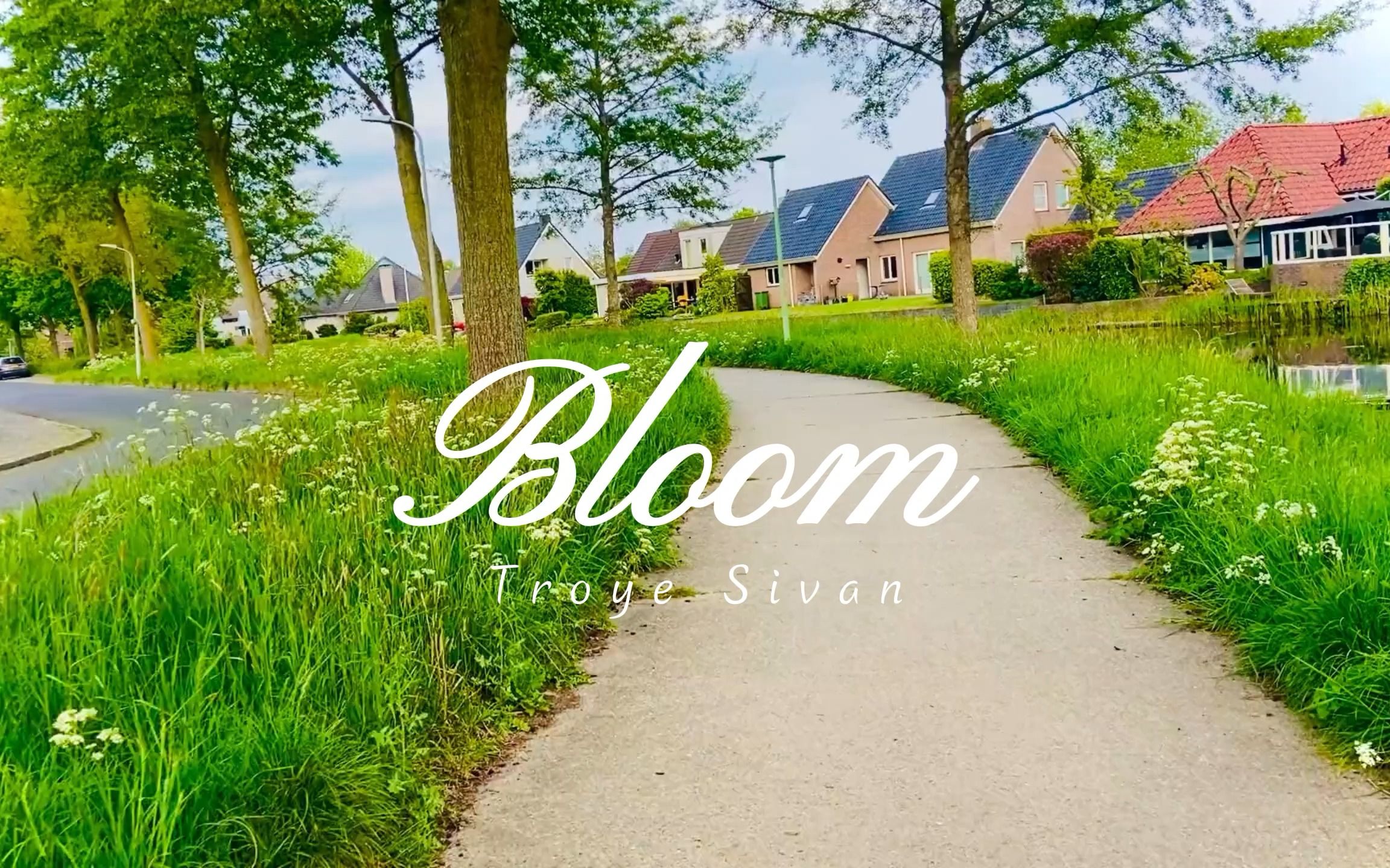 一首无限循环播放的英文歌曲《Bloom》你拥有那个可以为之bloom的人了吗?哔哩哔哩bilibili