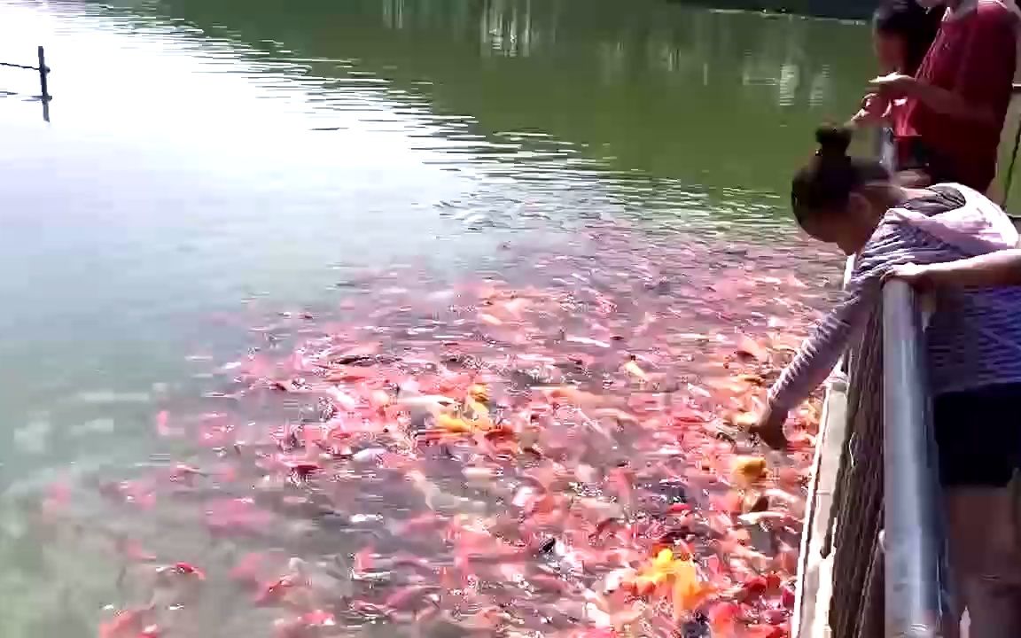 游山东泰安大裂谷景区,有钟乳石和暗河漂流,一家人游玩后吃大餐哔哩哔哩bilibili