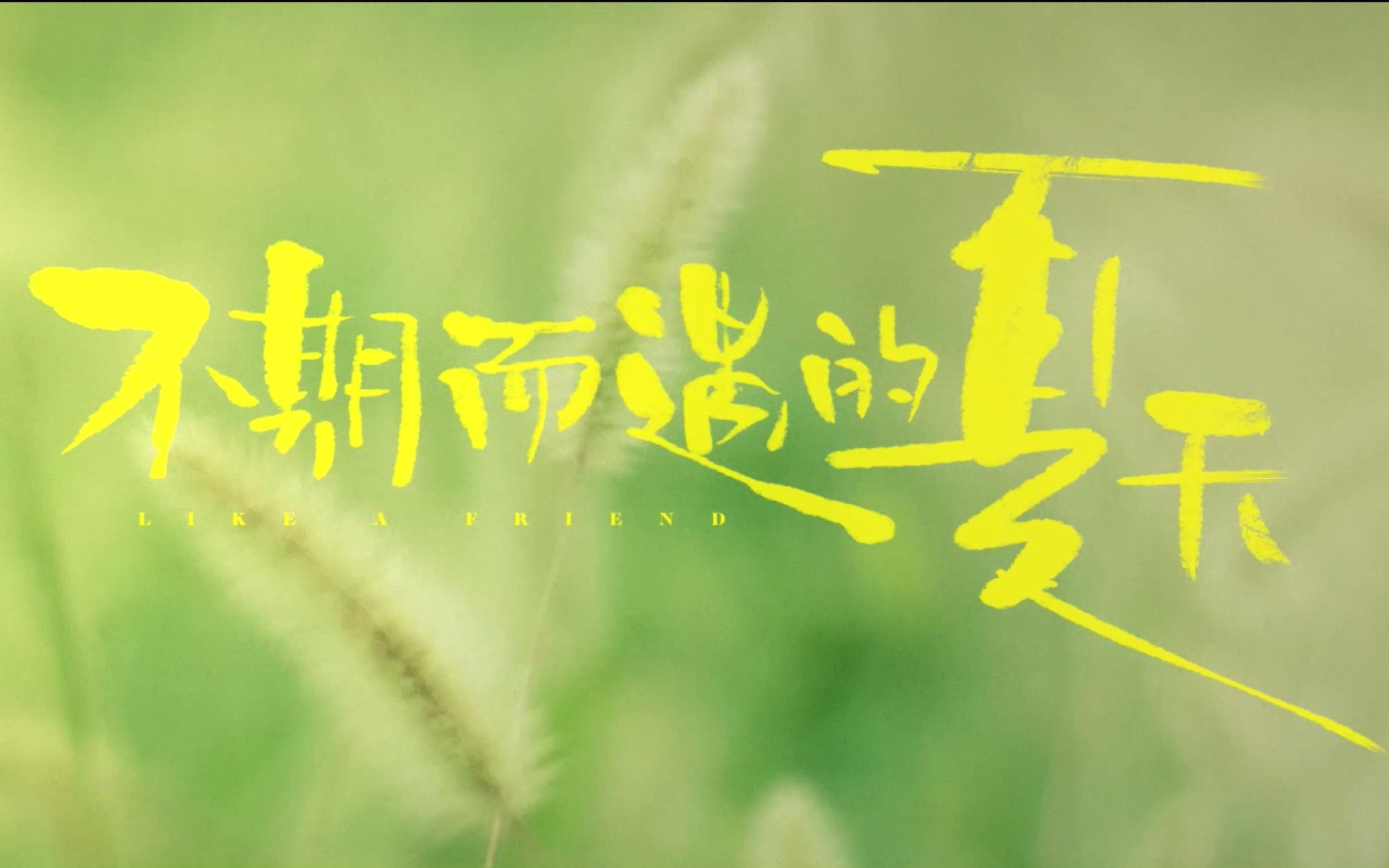 超清宽幅预告《不期而遇的夏天》