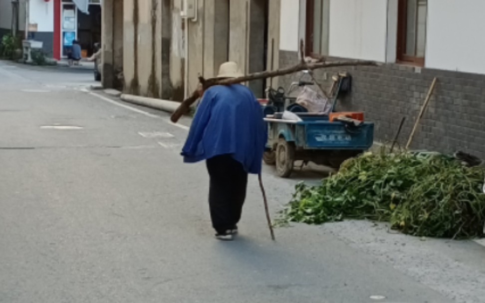 [图]我去，苇名一心