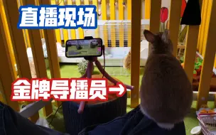 Télécharger la video: 你以为是谁在给你们开直播？