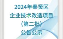 2024年奉贤区企业技术改造项目(第二批)公告公示哔哩哔哩bilibili