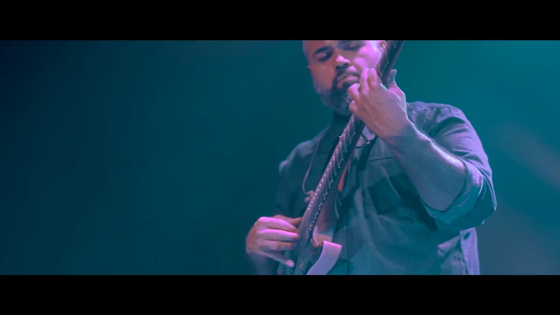 【animals as leaders】 - the brain dance (live mv)