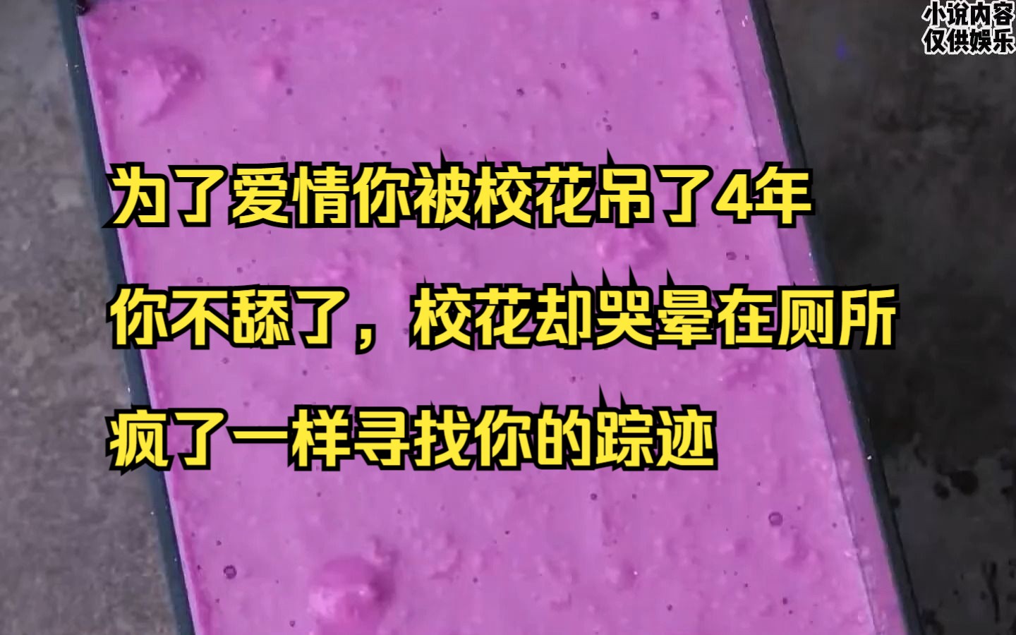 【小说】为了爱情你被校花吊了4年,你不舔了,校花却哭晕在厕所,疯了一样寻找你的踪迹哔哩哔哩bilibili