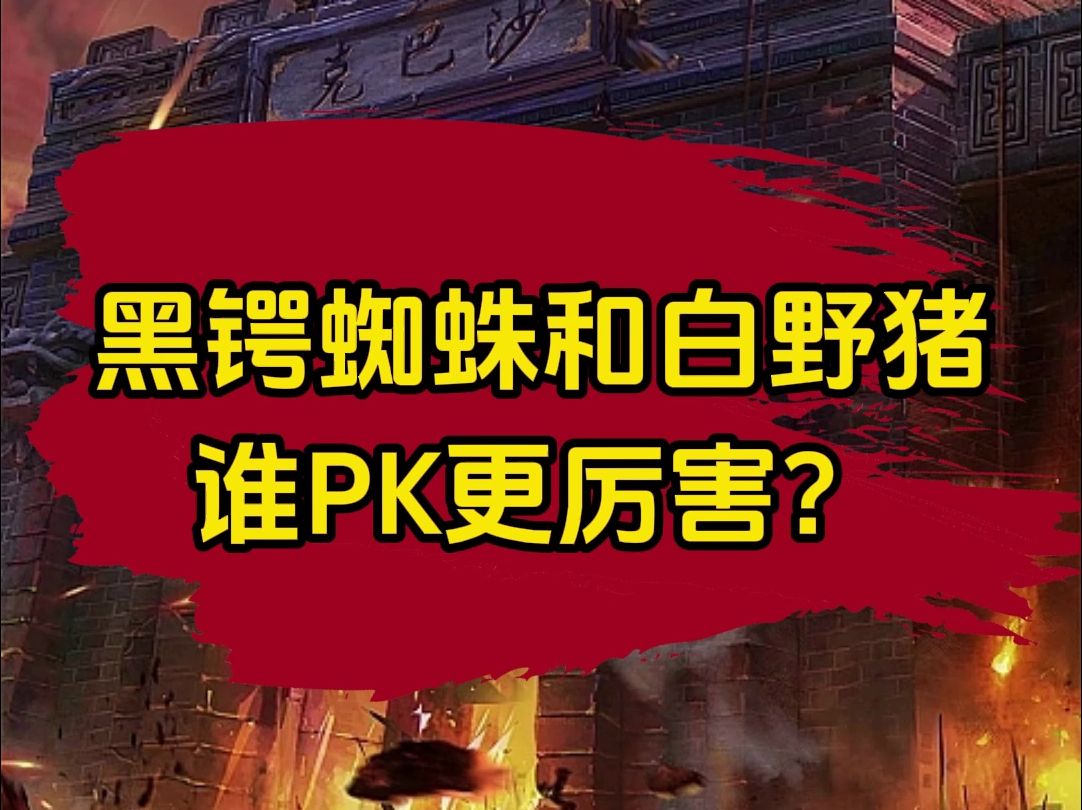 传奇黑锷蜘蛛和白野猪谁pk更厉害?