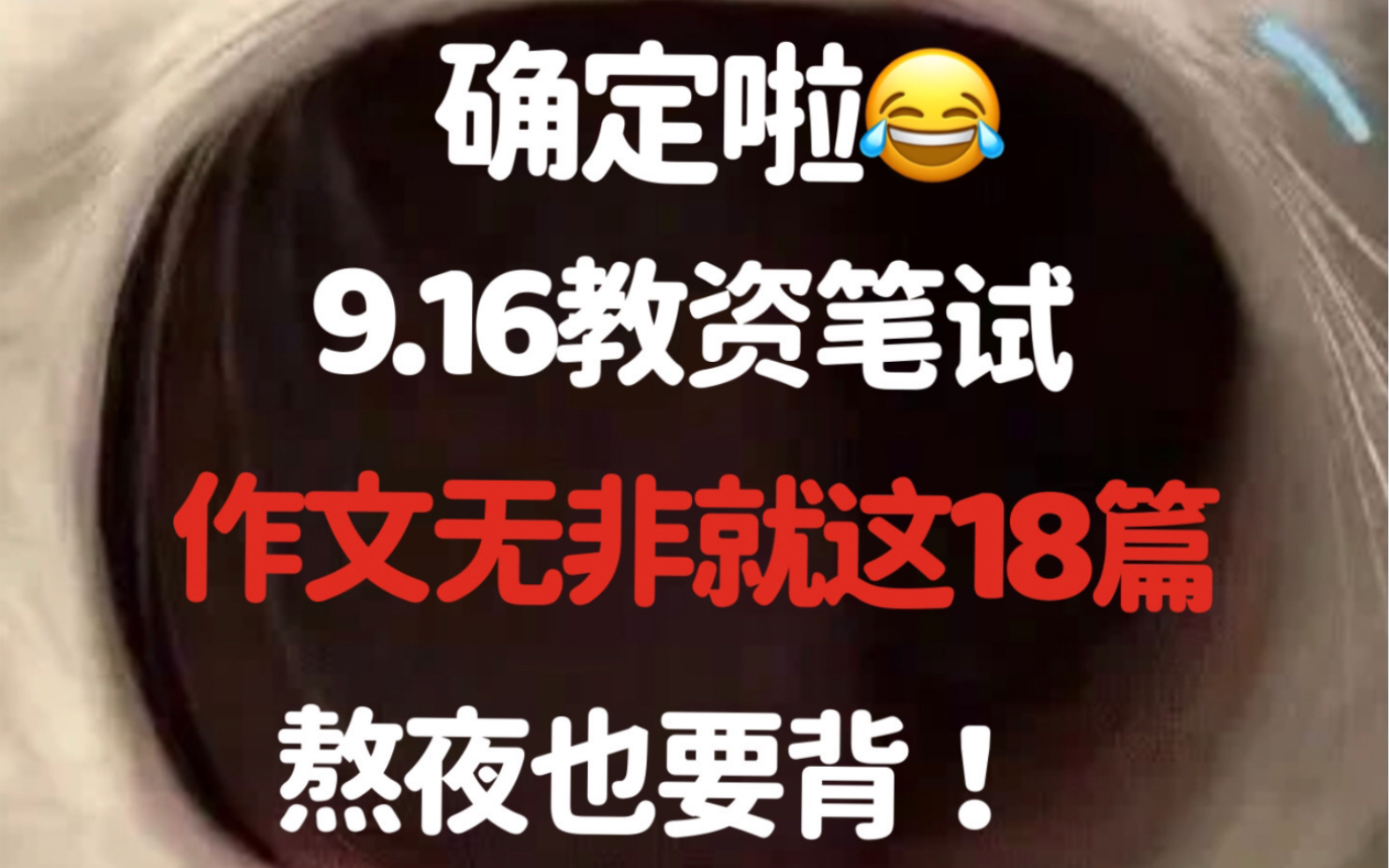 确定啦𐟘‚!23下教资笔试作文压题,无非就这18篇,非师范小白熬夜也要背完.2023下教师资格证笔试幼儿小学初中高中作文押题哔哩哔哩bilibili