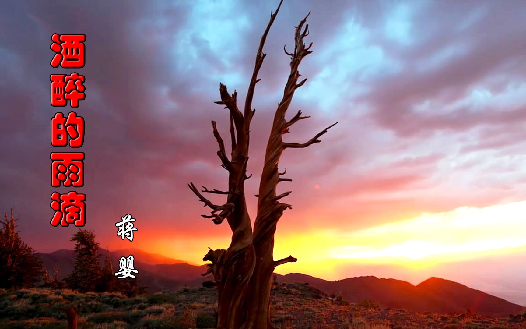 [图]蒋婴一首《酒醉的雨滴》，曲调优美动听，歌词句句入心，催人泪下