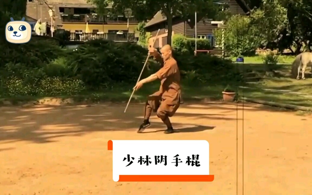 少林功夫阴手棍哔哩哔哩bilibili