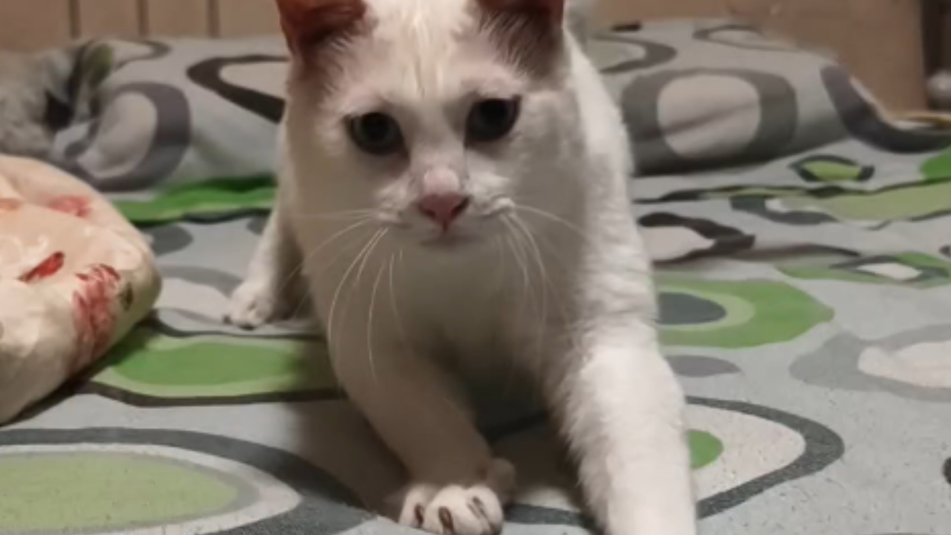 小宝|洗完澡好像很开心,蹦上床躺下了