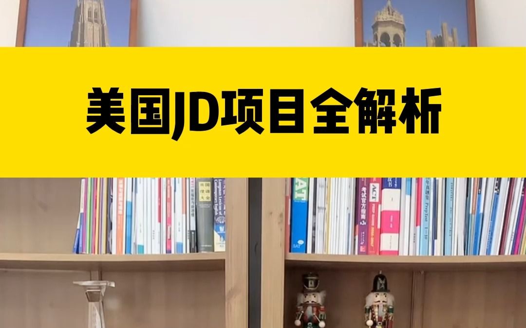 美国JD项目全解析哔哩哔哩bilibili