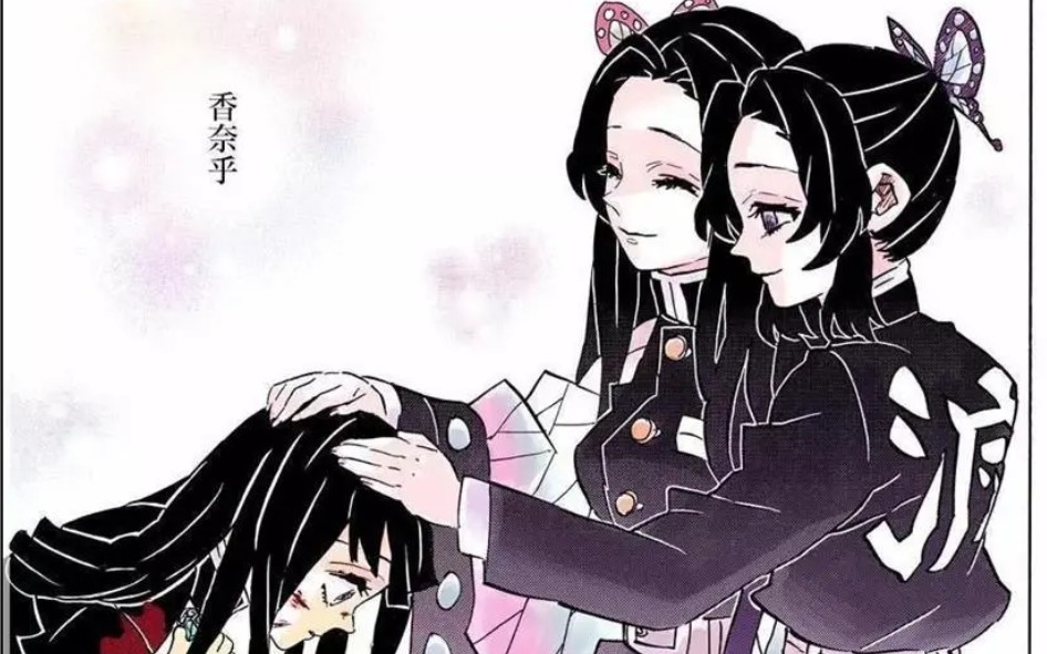 【鬼灭之刃/手书】一番星 我永远爱蝴蝶三姐妹!