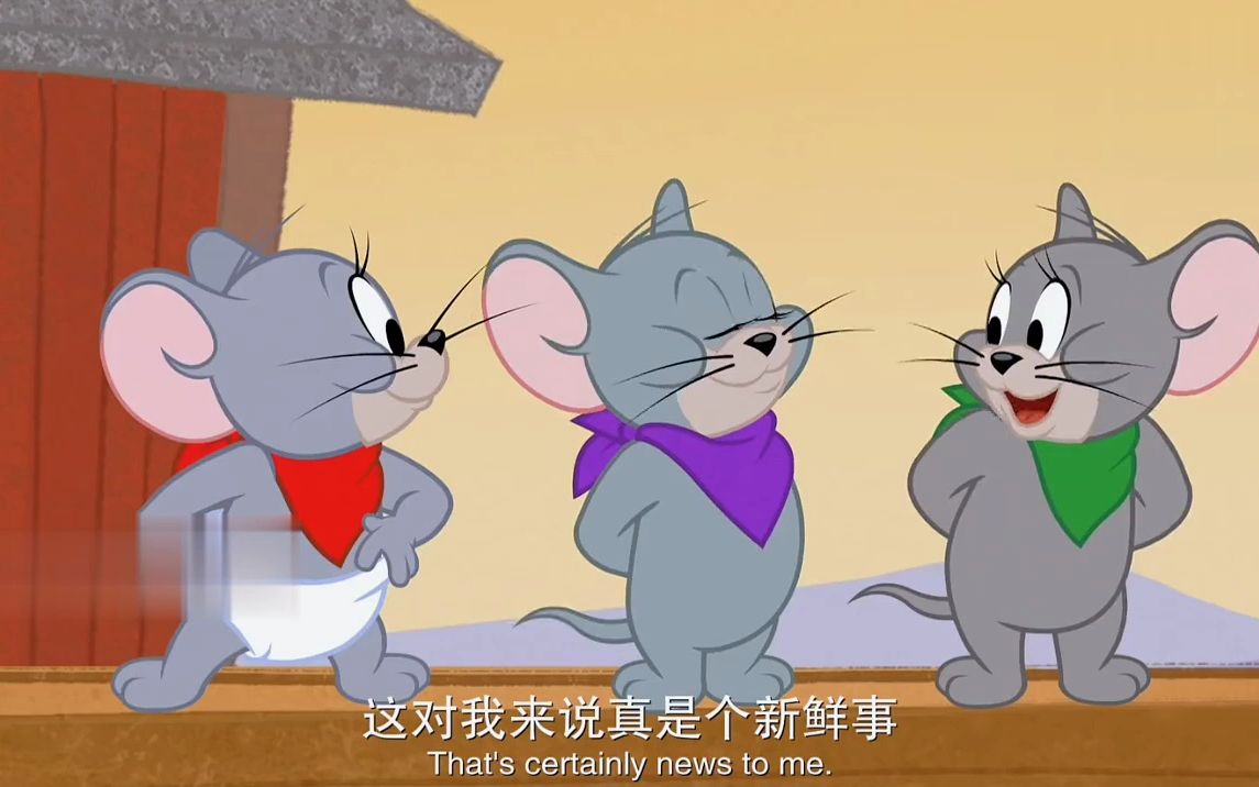 猫和老鼠新年一起斗牛,谁更厉害?