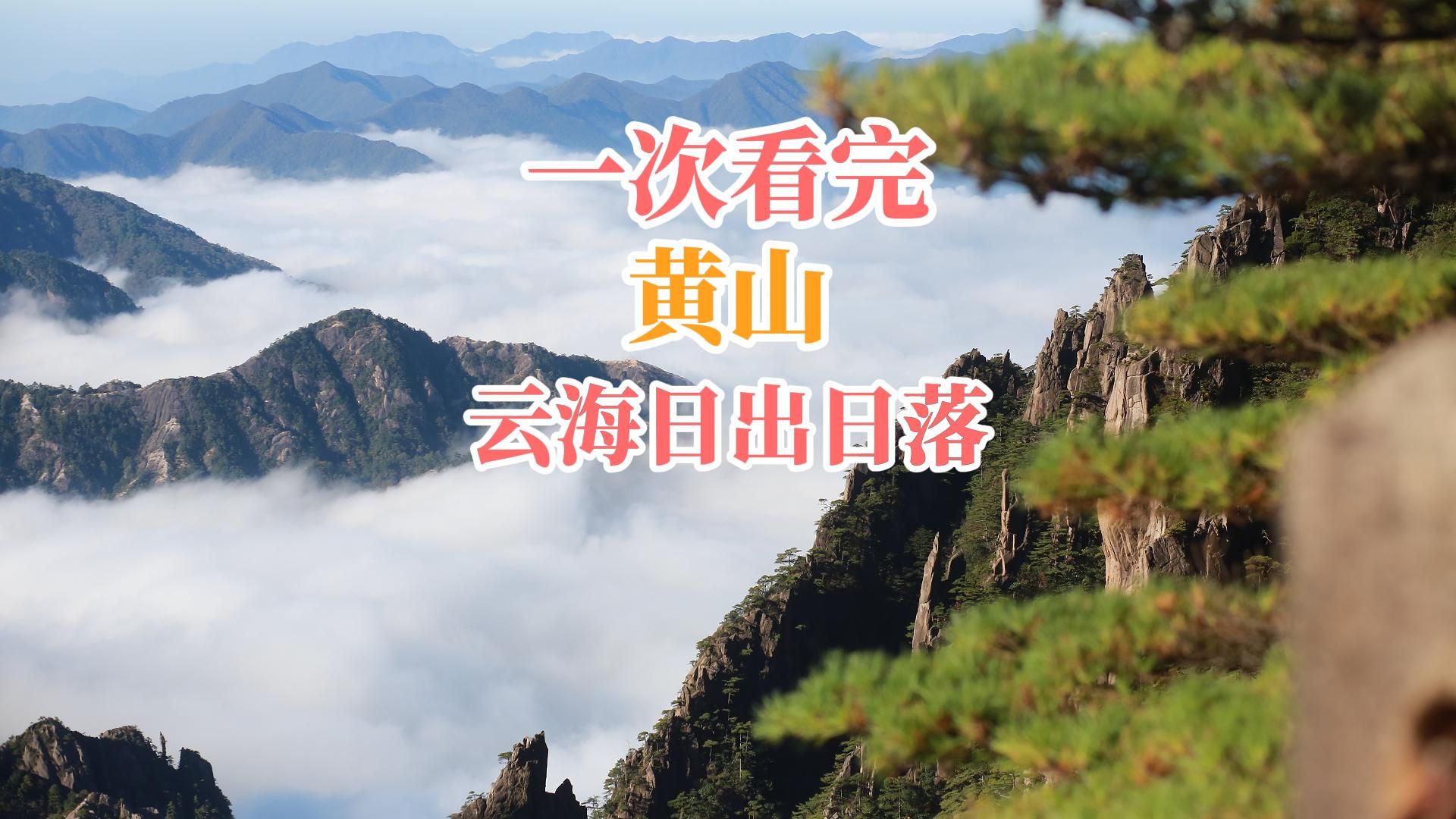 秋天去爬黄山吧哔哩哔哩bilibili