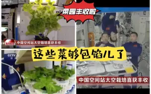 Tải video: 太空菜园丰收啦，太空菜农是啥感觉？中国空间站太空栽培喜获丰收。