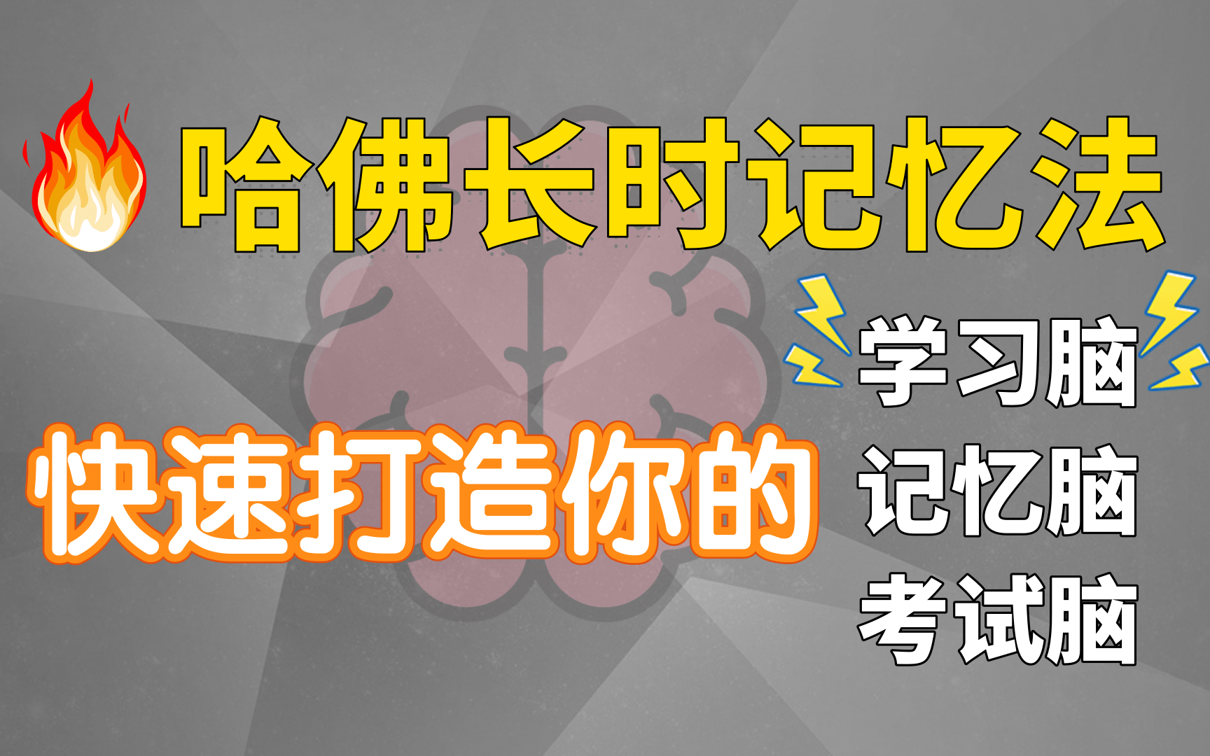 提升记忆力|超级有效的记忆方法|背书的正确姿势,我是如何两天背一本书的,学科知识点快速记忆理论与实操哔哩哔哩bilibili