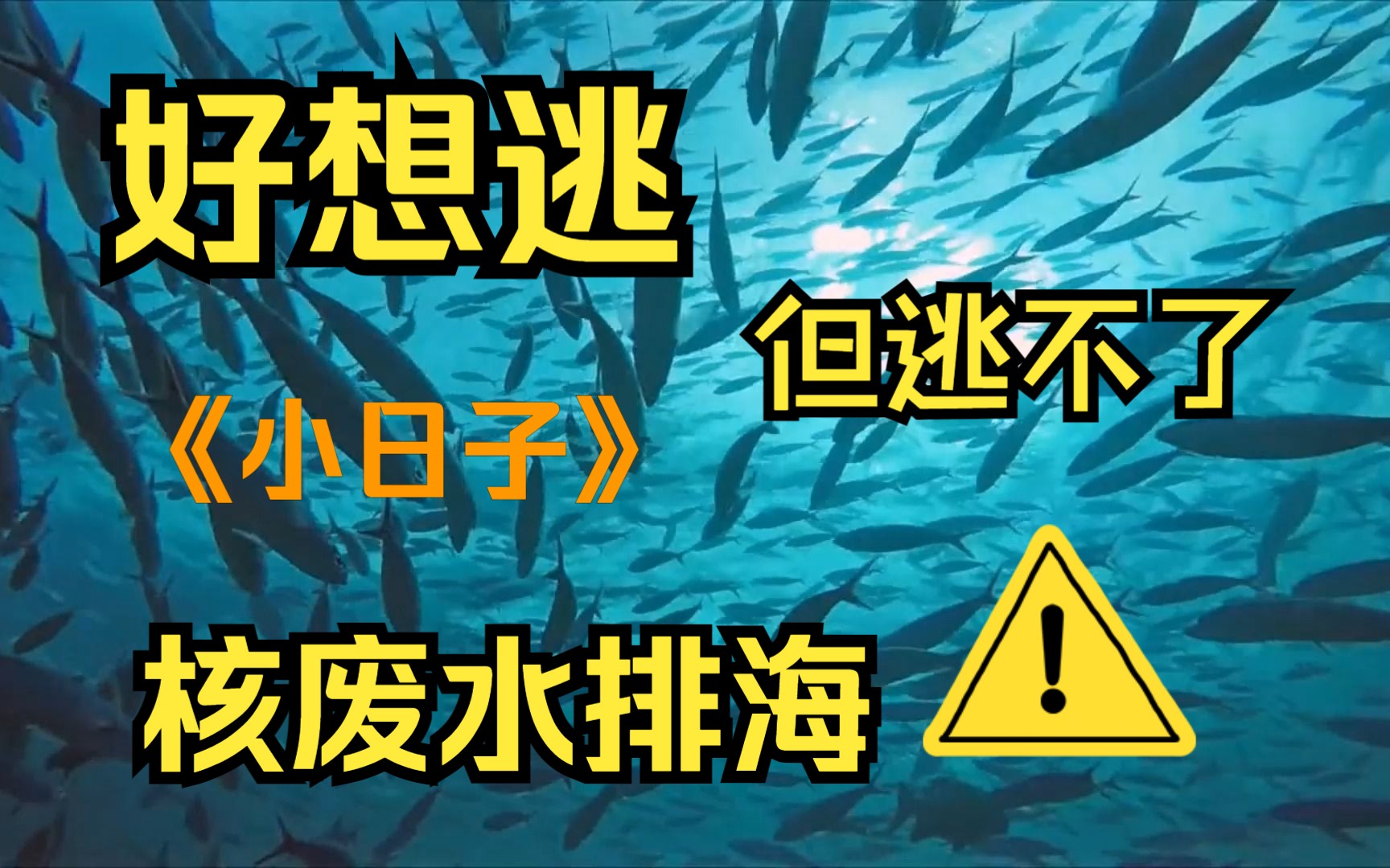【8月24号】小日子排入核废水,最先买单的是谁