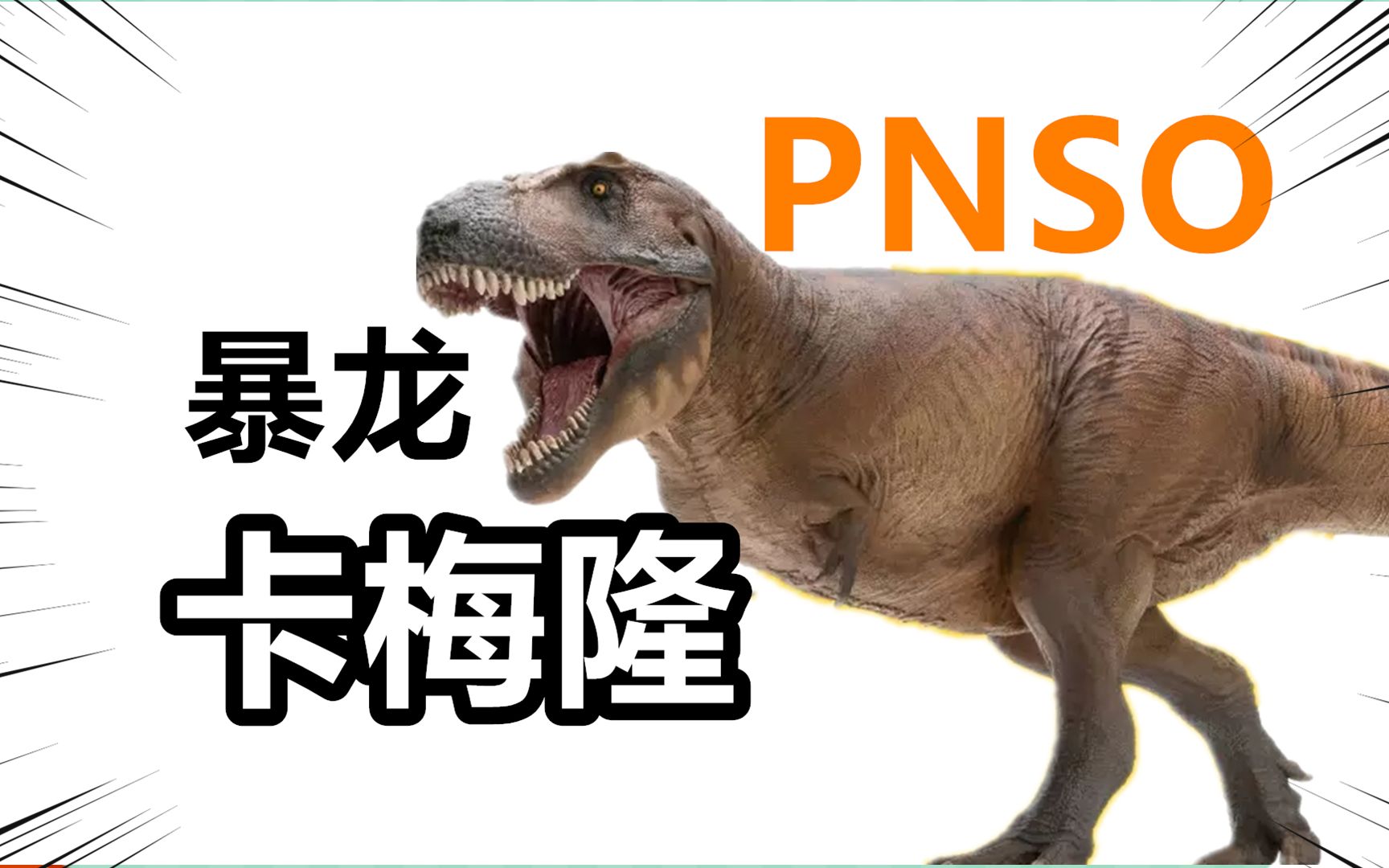 pnso暴龍卡梅隆開箱評測!