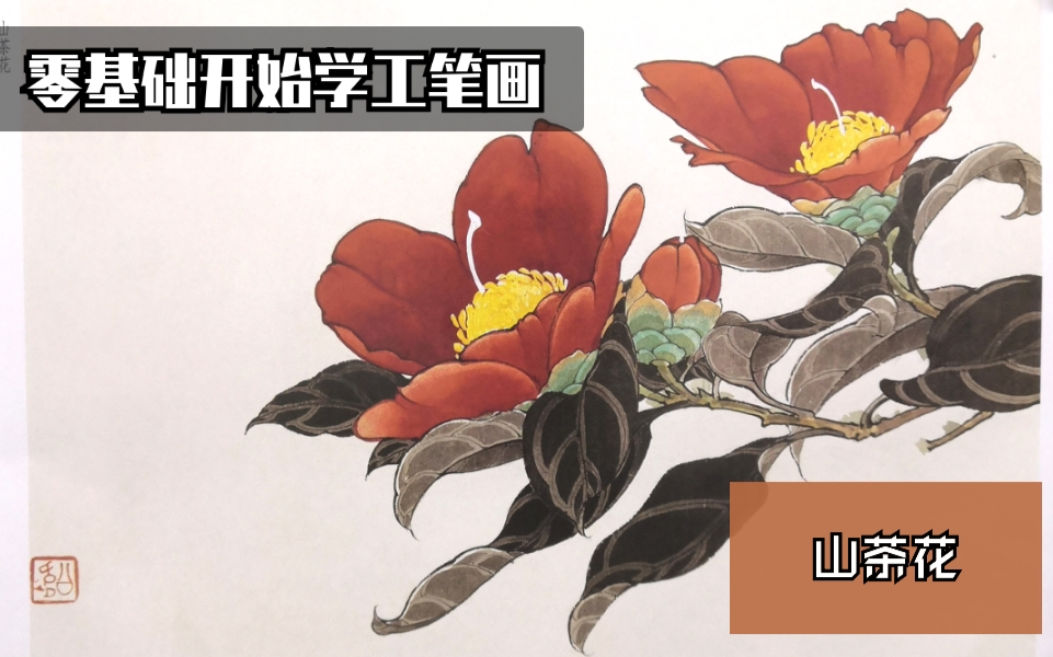 【零基础开始学工笔画】——山茶花示范(从勾线到染色)《荣宝斋画谱》哔哩哔哩bilibili