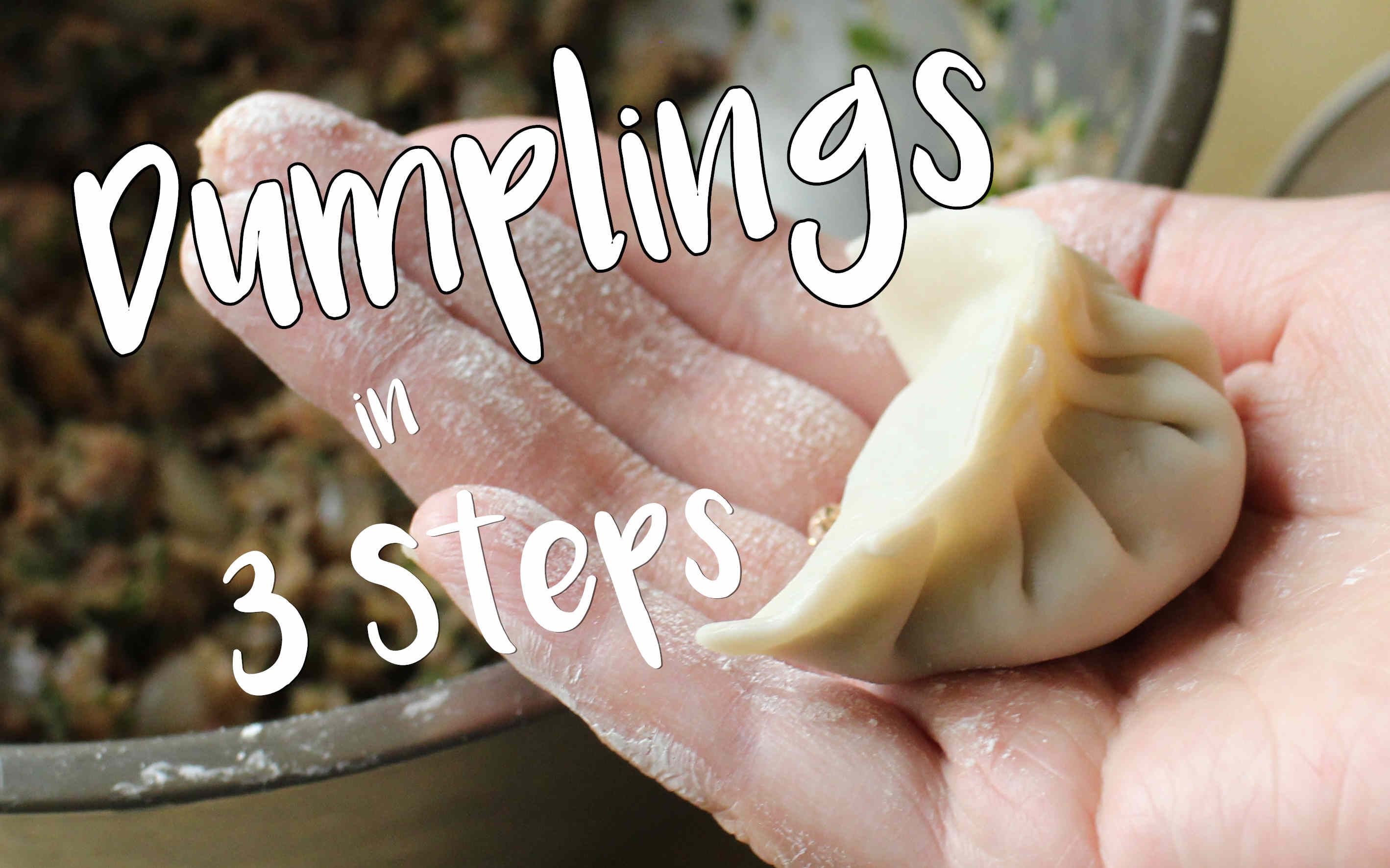 【英文】三步做饺子(鲜虾三鲜饺 & 白菜猪肉饺)How to make Dumplings in 3 Steps哔哩哔哩bilibili