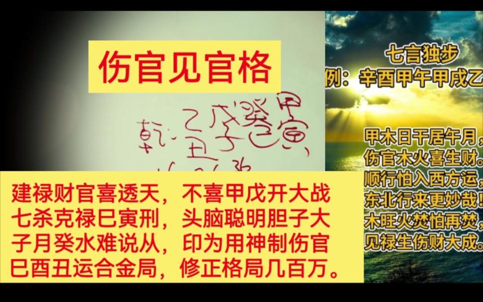 癸巳日案例解析,合官坐禄,伤官见官,笑中有泪,泪中也有发,起起伏伏靠金印.哔哩哔哩bilibili