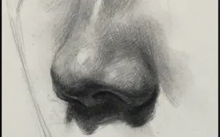 素描鼻子 搜索结果 哔哩哔哩 Bilibili