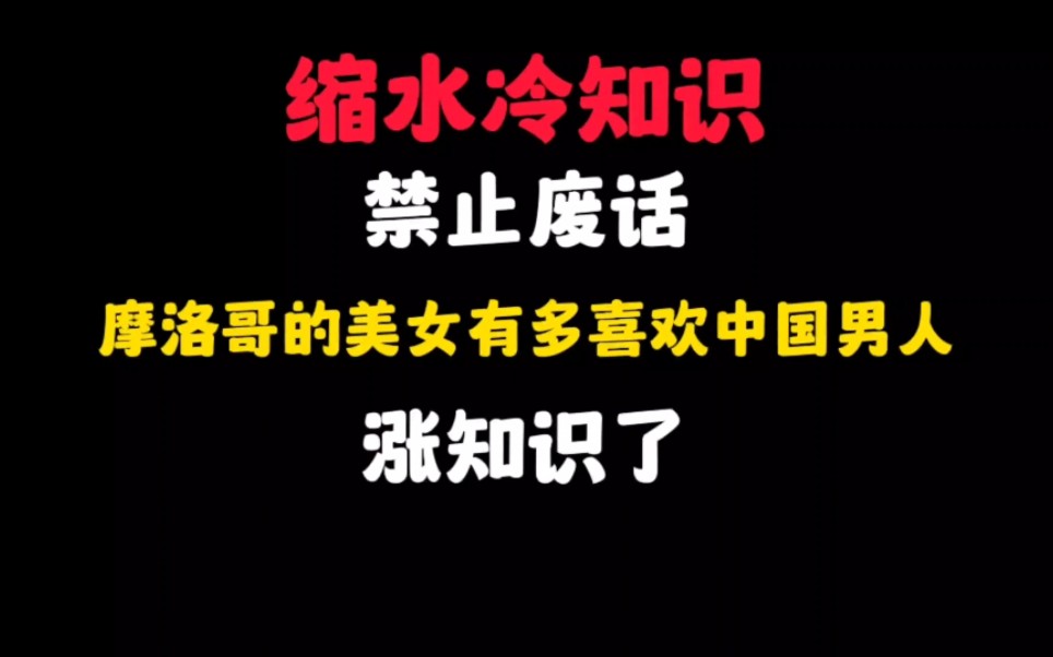 禁止废话:摩洛哥的美女有多喜欢中国男人?涨知识了哔哩哔哩bilibili