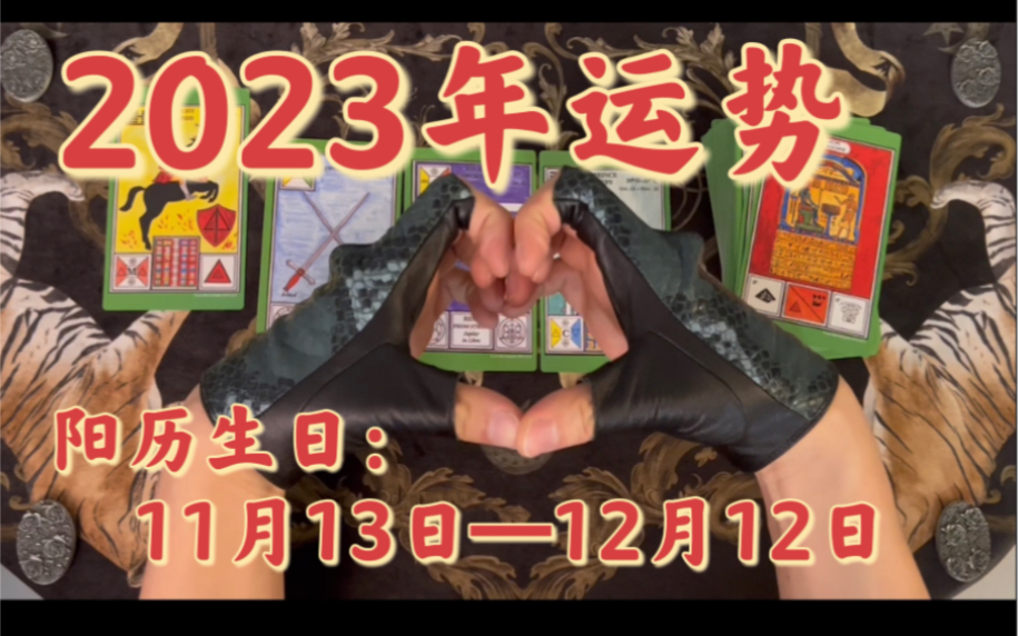 【大众占卜】2023年运势 生日11.13—12.12 阳历