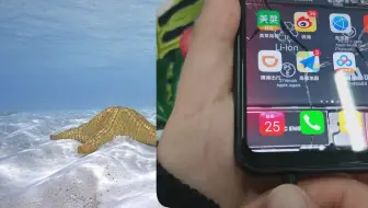今天才知道，手机居然可以自动报警！只要你一碰，它立马叫起来