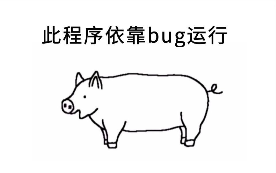 请不要删除这个bug,此程序靠这个bug运行