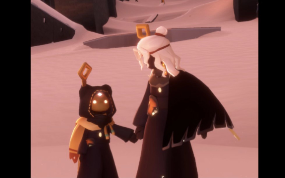 【光遇】二级黑斗 猫猫袍子——绝配!帅!