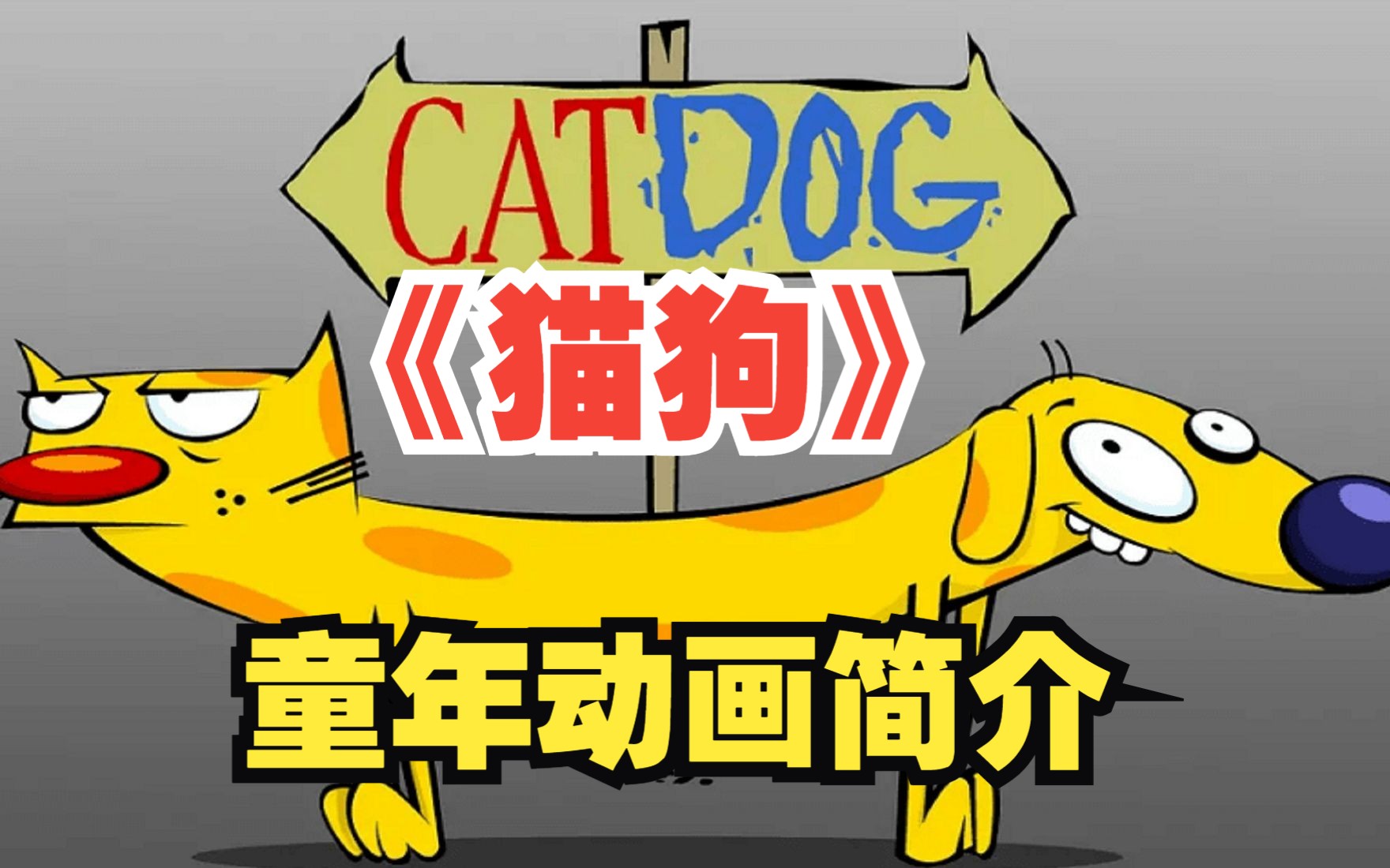 《猫狗》童年动画简介哔哩哔哩bilibili