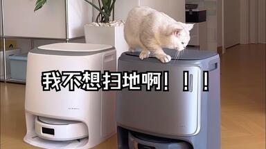 云鲸（NARWAL）扫地机器人逍遥002 AI活水履带洗地机器人扫拖一体自动