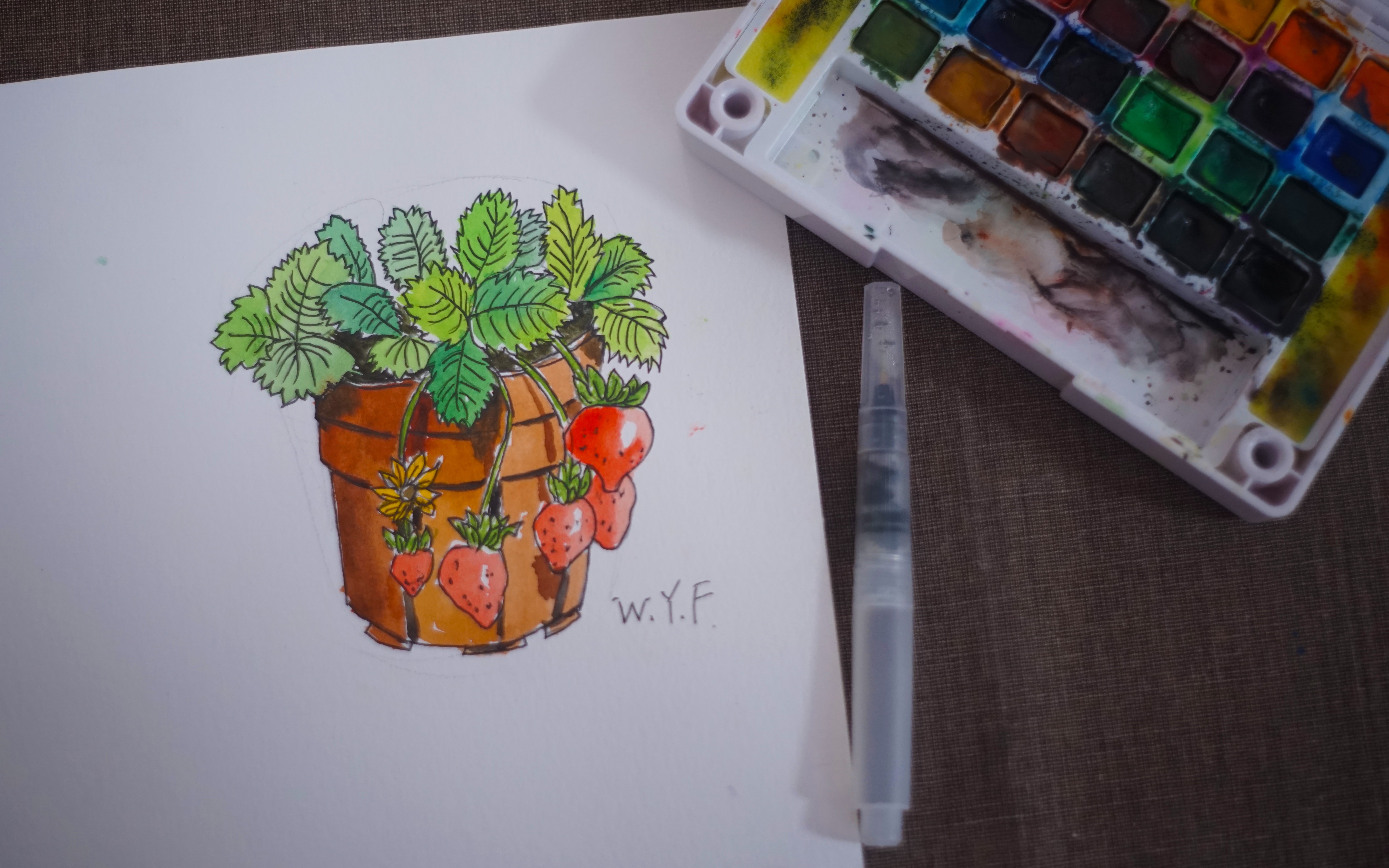 木凡水彩私塾画手帐的基础练习速写淡彩盆栽草莓