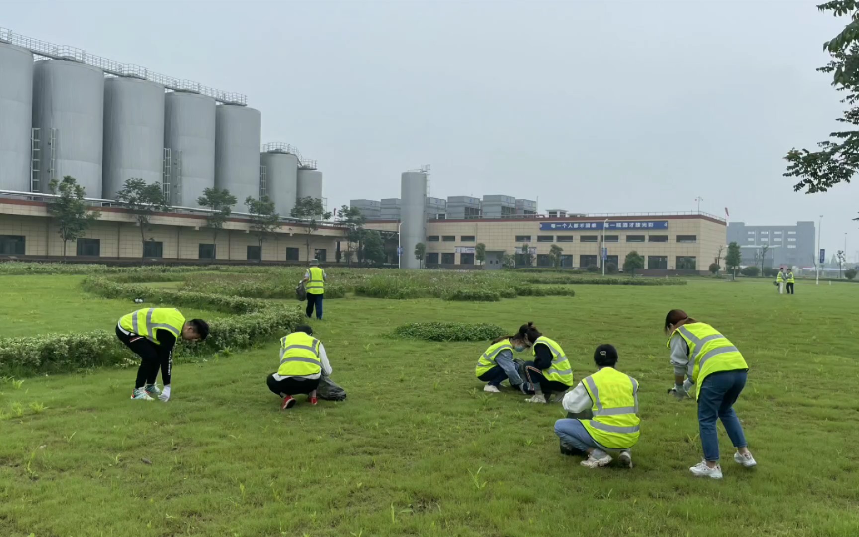 【实习】华润雪花啤酒(武汉)有限公司实习小记day3哔哩哔哩bilibili