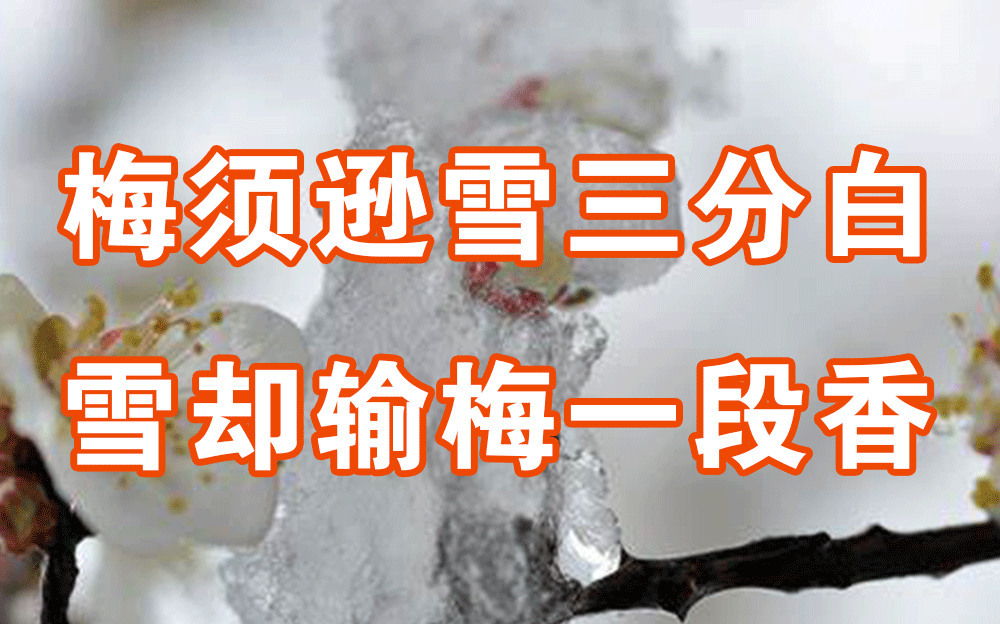 [图]励志名篇·卢钺·雪梅