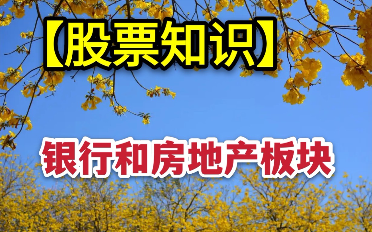 【股票知识】今天给大家讲招商银行、保利发展、东方财富哔哩哔哩bilibili