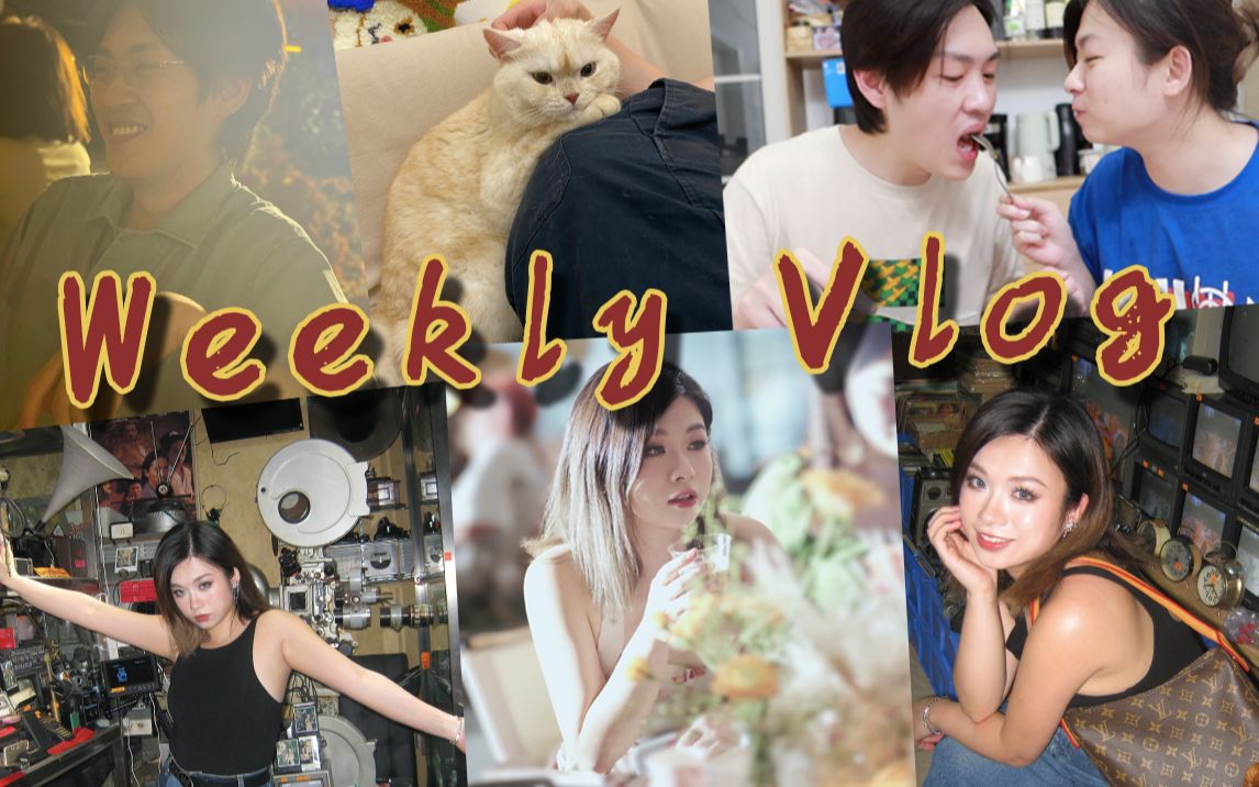 Weekly Vlog|超美的露营派对/复古相机集市/广州夫妻日常哔哩哔哩bilibili