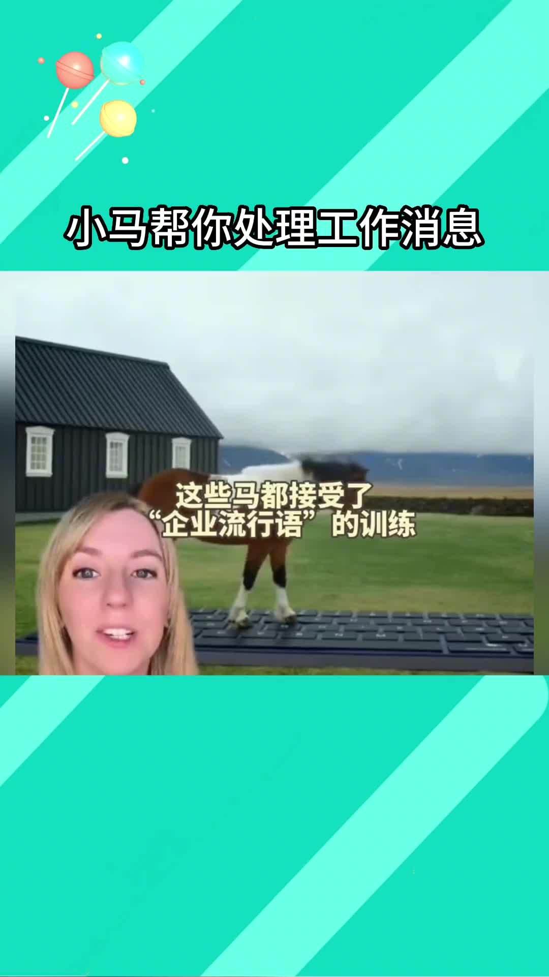 教会我的猫做营销号纳入行程哔哩哔哩bilibili