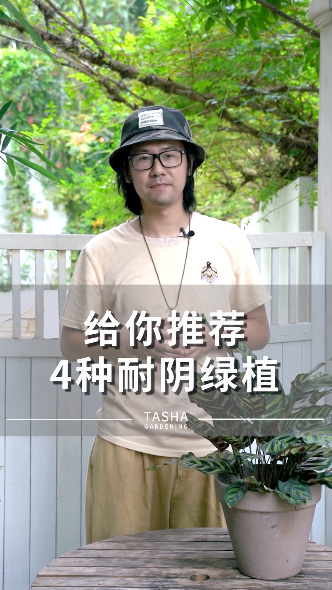 4种耐阴绿植推荐,不仅特别,还非常好养~哔哩哔哩bilibili