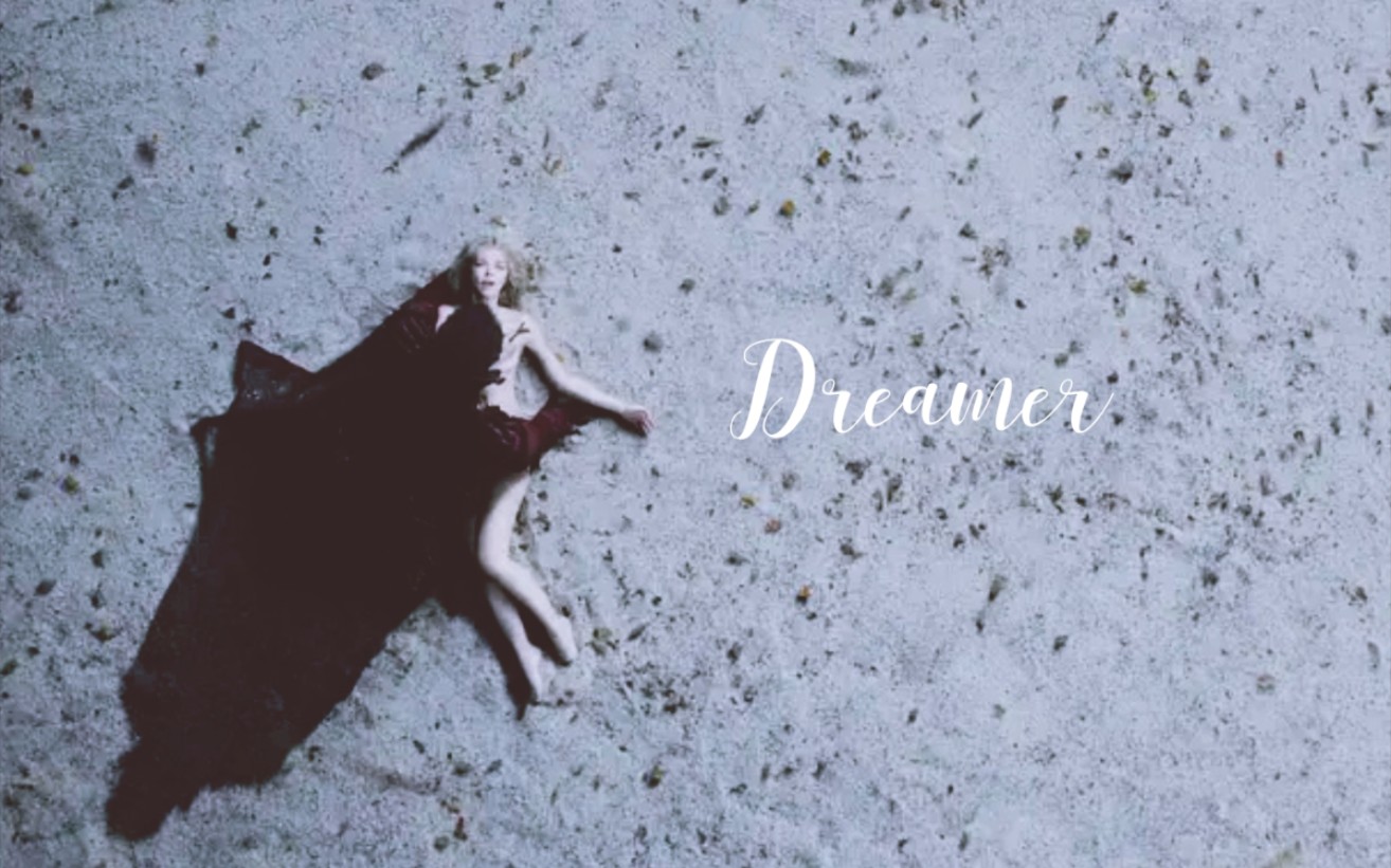 【美女与野兽法国版】dreamer