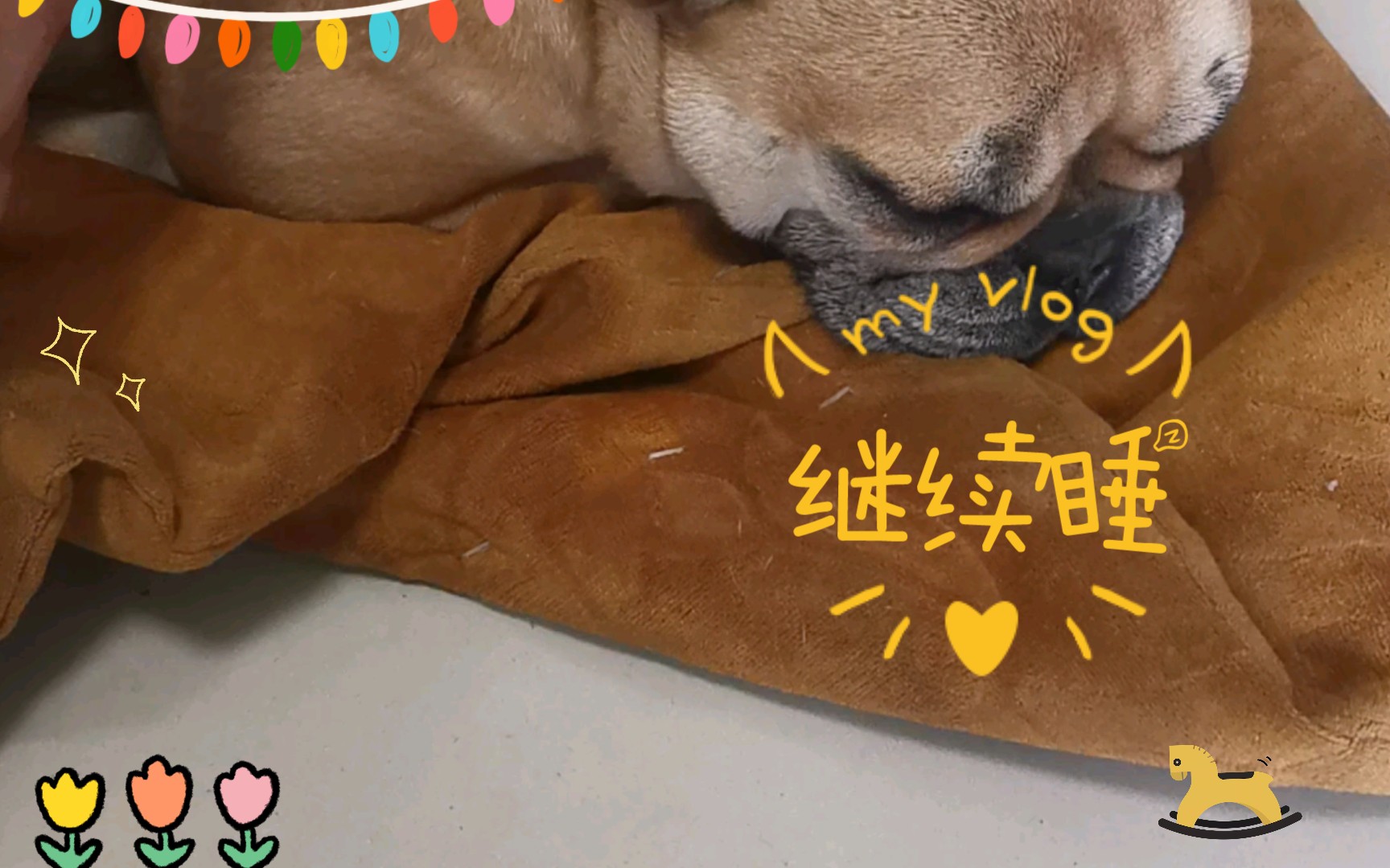 活动作品继续睡