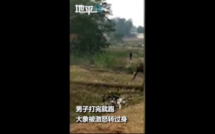 男子用棍子猛抽大象臀部然后拔腿就跑 对方瞬间被激怒了哔哩哔哩bilibili